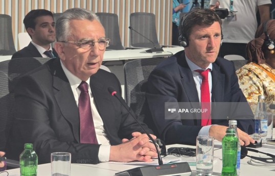 Head of the Baku City Executive Authority Eldar Azizov