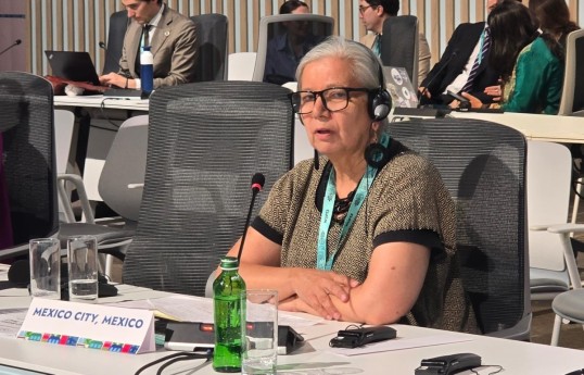 Maria del Rocio Lombrera Gonzalez, Chief Coordinator for International Relations of the Mexico City Government