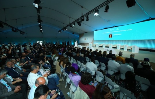 WUF13 NGO Forum held for first time in World Urban Forum history in Baku - PHOTO 