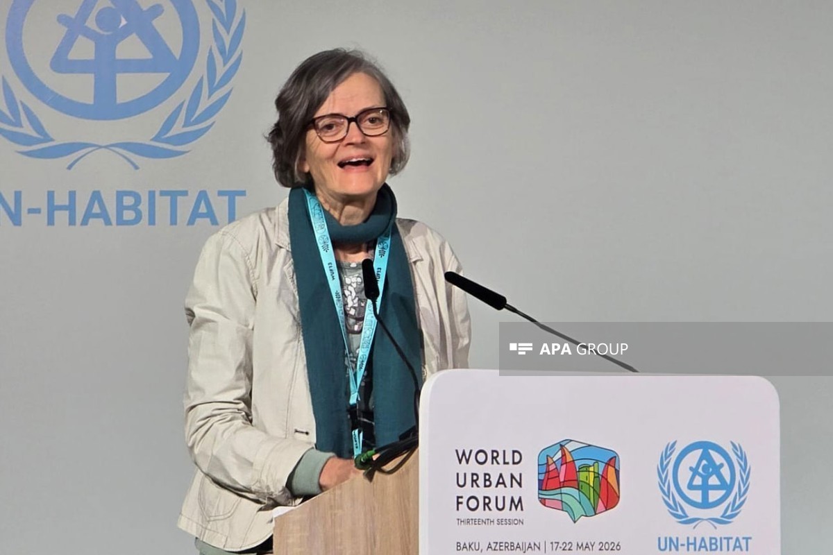Marie Huchzermeyer, Professor in the School of Architecture and Planning at Wits University in Johannesburg, South Africa