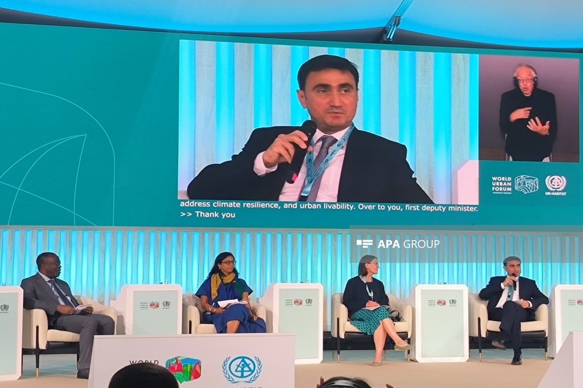 Deputy Minister: Azerbaijan works on a low-emission development strategy