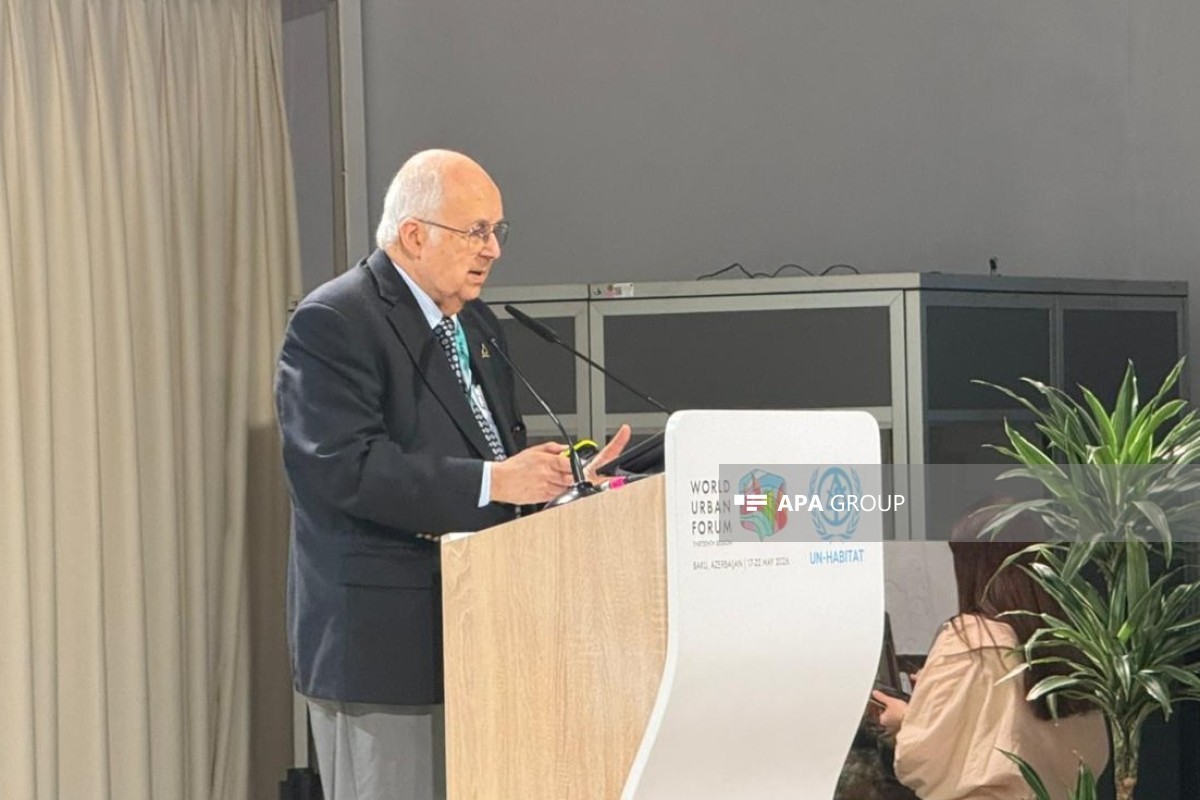 Ismail Serageldin, founder of the Library of Alexandria, former vice president of the World Bank, and cultural expert