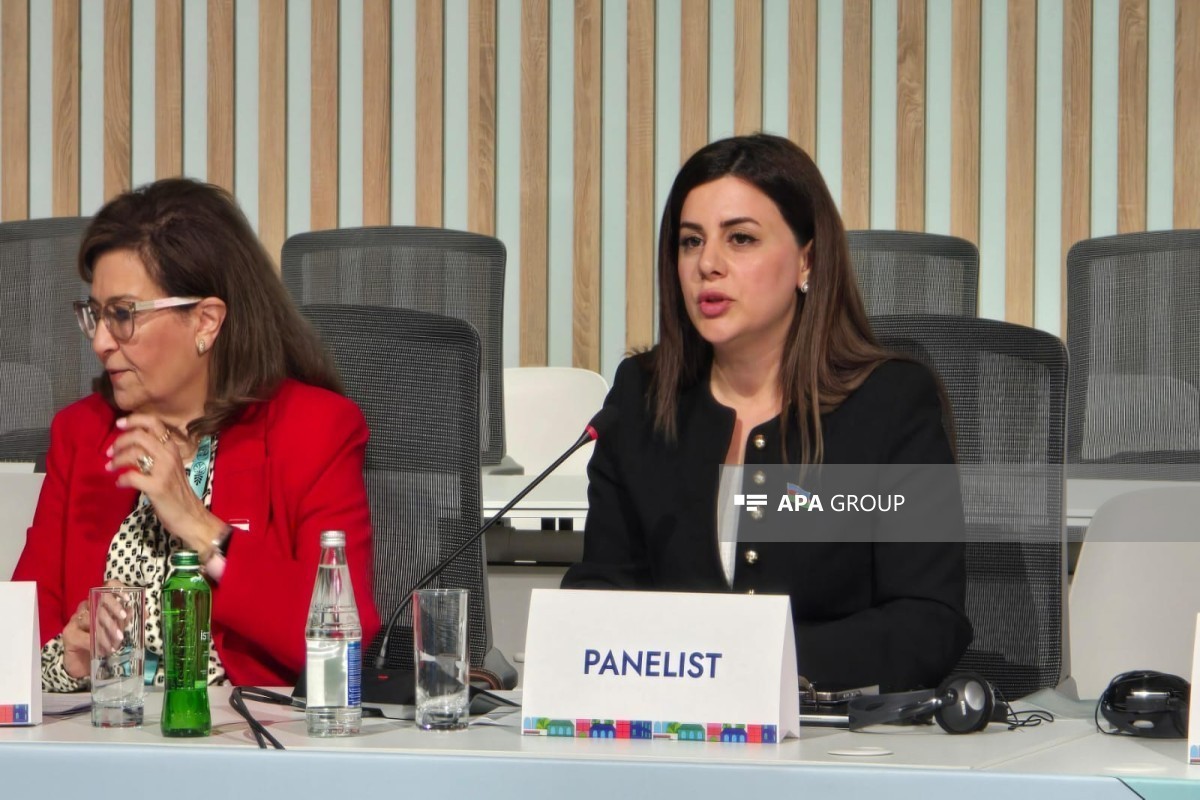 Azerbaijani MP proposes new housing committee within Non-Aligned Movement network