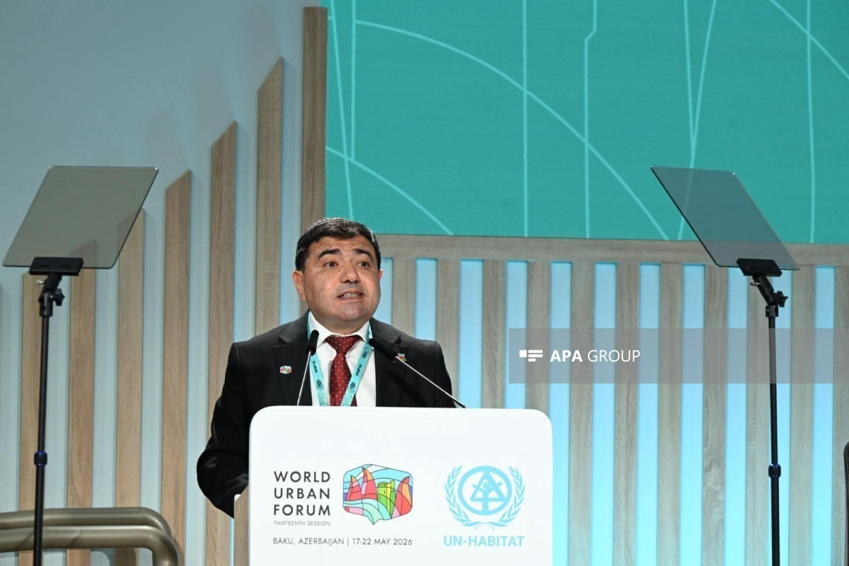 Rizvan Nabiyev: International media coverage of reconstruction in Karabakh and East Zangazur has strengthened global attention
