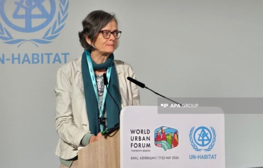 Marie Huchzermeyer, professor at the School of Architecture and Planning at the University of the Witwatersrand in South Africa