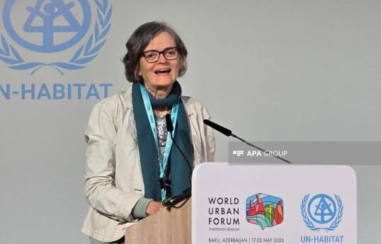 Marie Huchzermeyer, Professor in the School of Architecture and Planning at Wits University in Johannesburg, South Africa