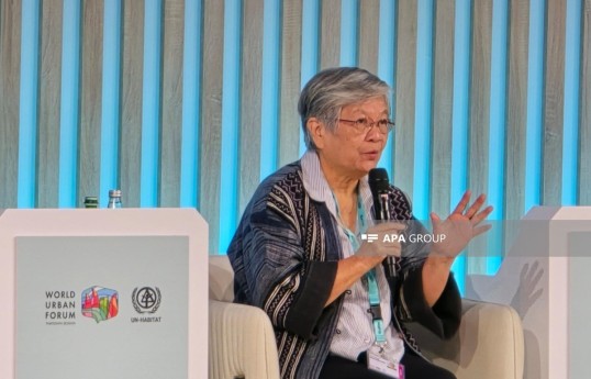Somsook Boonyabancha, Chairperson to the Asian Coalition for Housing Rights (ACHR) of Thailand