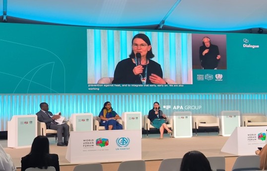 Director General: Nature-based solutions have long existed as a concept