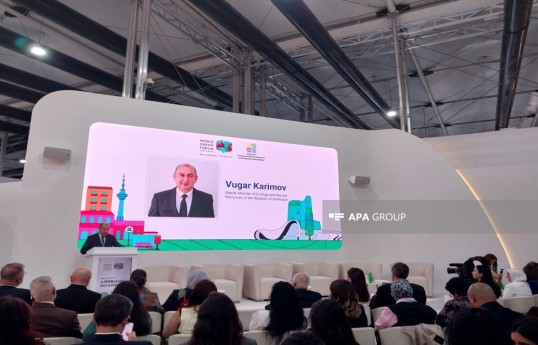 Deputy Minister of Ecology and Natural Resources Vugar Karimov