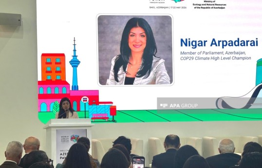 Member of Parliament Nigar Arpadarai