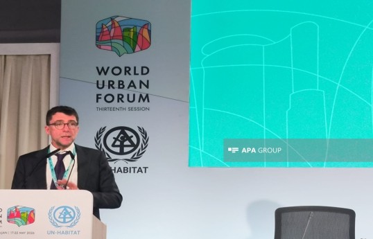 Riccardo Savigliano, head of the Energy Systems and Industrial Decarbonization Unit of the United Nations Industrial Development Organization (UNIDO)