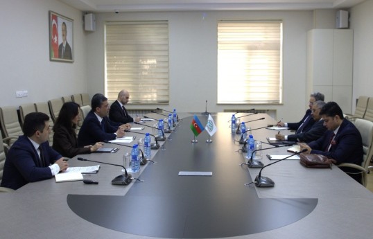 Executive Director of the Media Development Agency  met with Secretary-General of the D-8 Organization - PHOTO 