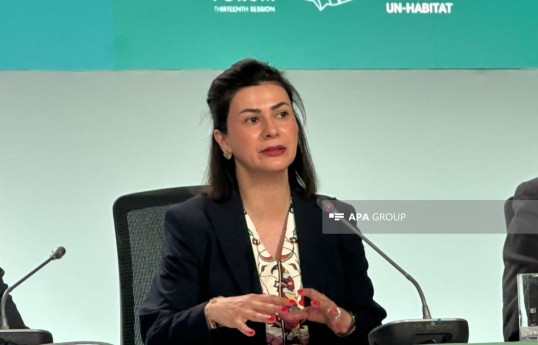 Aysel Yagubova, Executive Director of the Economic Cooperation Organization Clean Energy Center