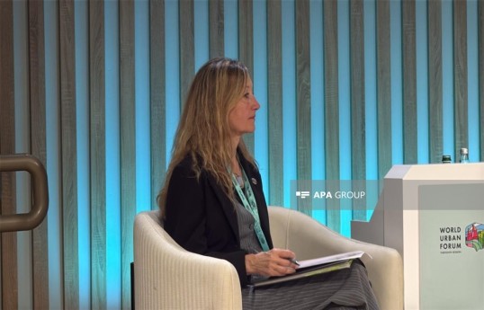 Elisabet Cirici, Director General for Territorial Planning, Urban Development and Architecture of the Government of Catalonia of the Kingdom of Spain