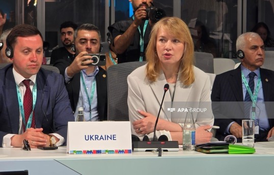 , Olena Shulyak, Chairperson of the Committee on the Organization of State Power, Local Self-Government, Regional Development and Urban Planning of the Verkhovna Rada of Ukraine