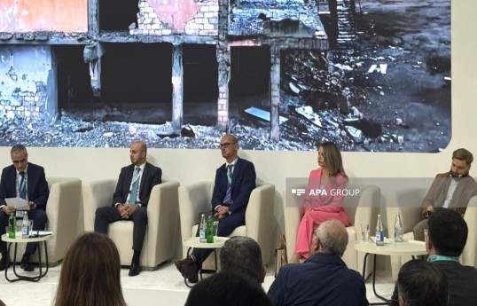 Department head: Master plans prepared for 8 cities and more than 100 villages