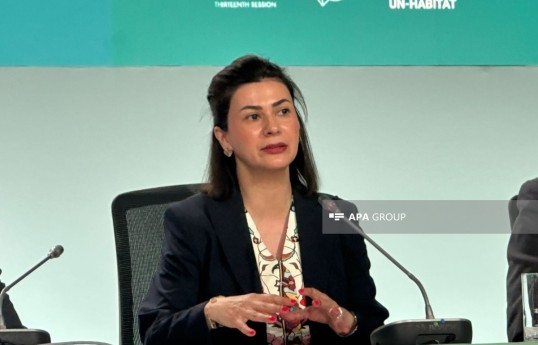 Executive director: Regional sustainable energy centers can help address existing gaps