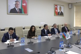 Executive Director of the Media Development Agency  met with Secretary-General of the D-8 Organization - PHOTO 