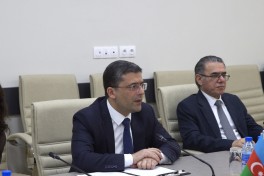 Executive Director of the Media Development Agency  met with Secretary-General of the D-8 Organization - PHOTO 