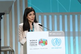 Event on urban resilience and media held at WUF13-PHOTO 