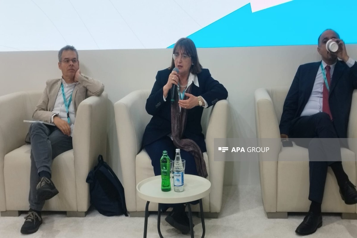 Deputy Dean of the School of Design and Architecture at ADA University and associate professor at the dABC department of Politecnico di Milano, Nora Lombardini