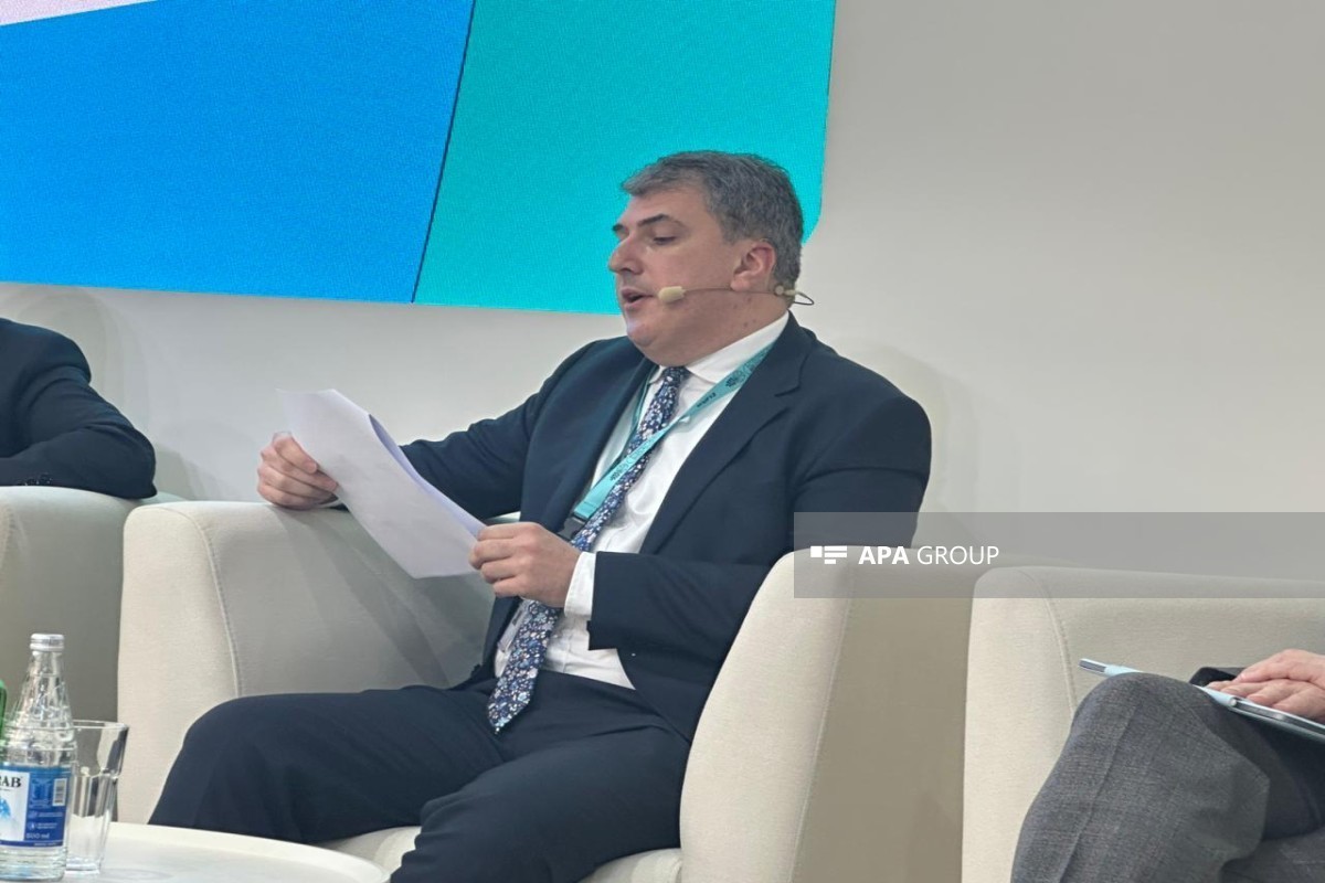 Fariz Azizov, Advisor on Institutional Development to the Chairman of the Board of the State Agency of Azerbaijan Automobile Roads (AAYDA)