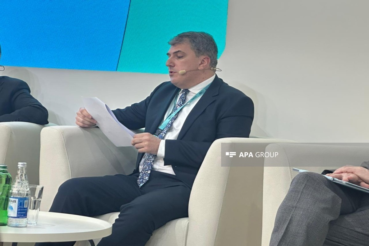 Fariz Azizov, Advisor on Institutional Development to the Chairman of the Board of the State Agency of Azerbaijan Automobile Roads (AAYDA)