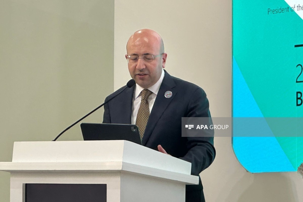 Anar Guliyev, Chairman of the State Committee on Urban Planning and Architecture