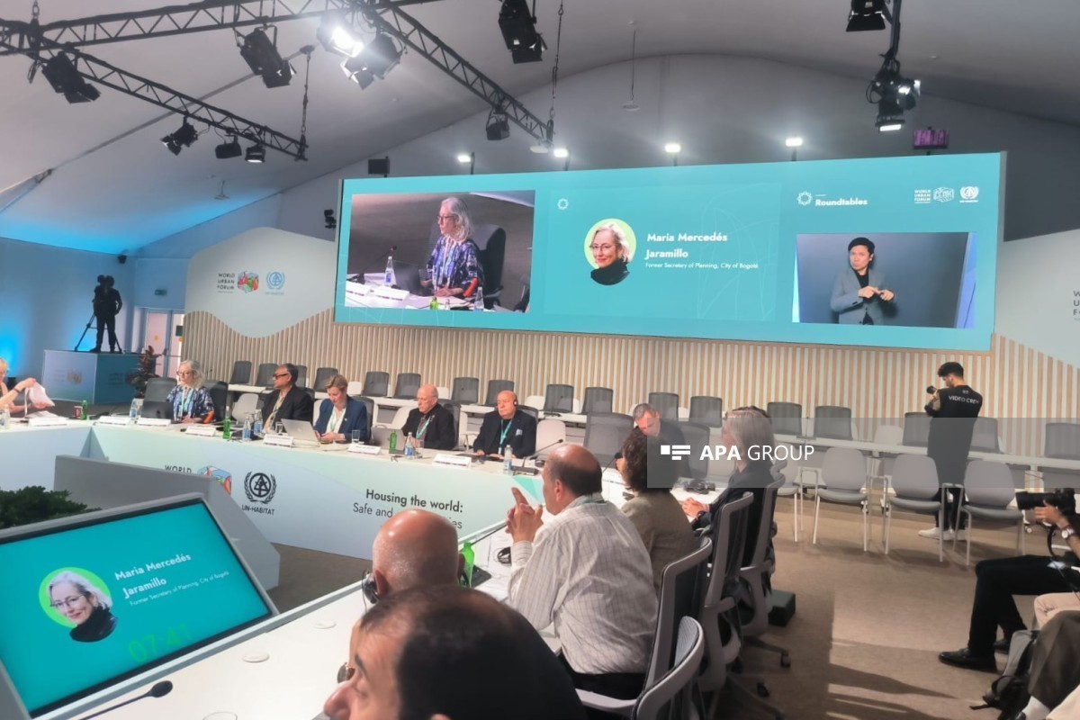 Expert: Planning for sustainable cities must be multidimensional
