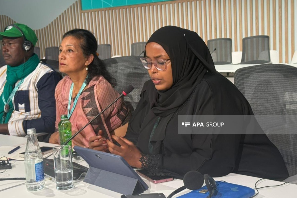 Somali representative: Six months of the year we face drought, the other six months floods