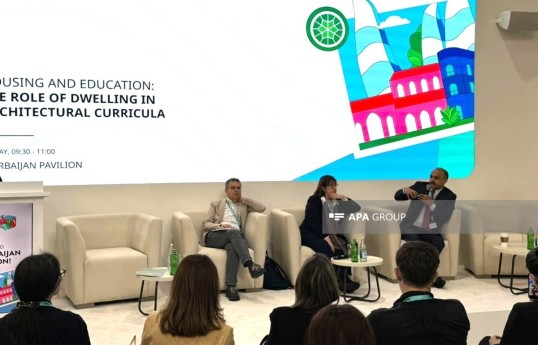 Associate professor: Excessive technicization of urbanism is a global problem