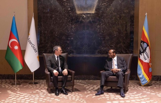 Azerbaijan and Eswatini discuss cooperation in mining industry