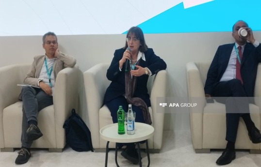Deputy Dean of the School of Design and Architecture at ADA University and associate professor at the dABC department of Politecnico di Milano, Nora Lombardini