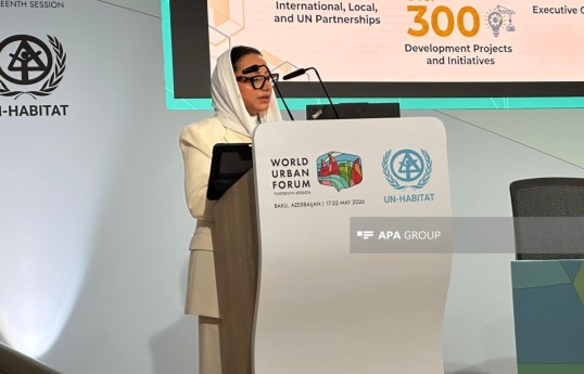 Director of the Development and Reconstruction Program for Yemen and Saudi Arabia, Hala Al-Saleh