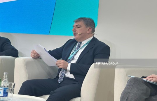 Fariz Azizov, Advisor on Institutional Development to the Chairman of the Board of the State Agency of Azerbaijan Automobile Roads (AAYDA)