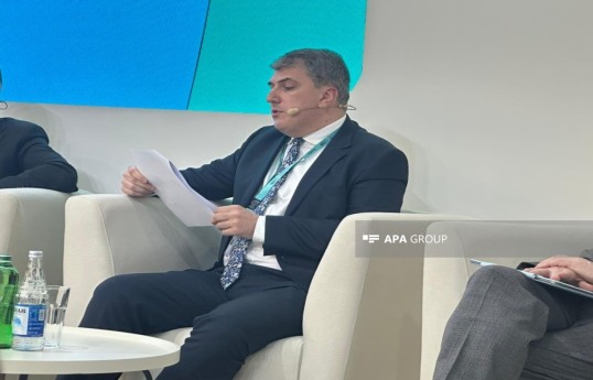 Fariz Azizov, Advisor on Institutional Development to the Chairman of the Board of the State Agency of Azerbaijan Automobile Roads (AAYDA)