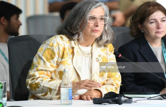 Anacláudia Rossbach, Executive Director of the United Nations Human Settlements Programme (UN-Habitat)