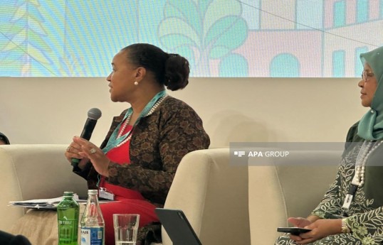 Patricia Scotland, former Secretary-General of the Commonwealth and member of the UK House of Lords