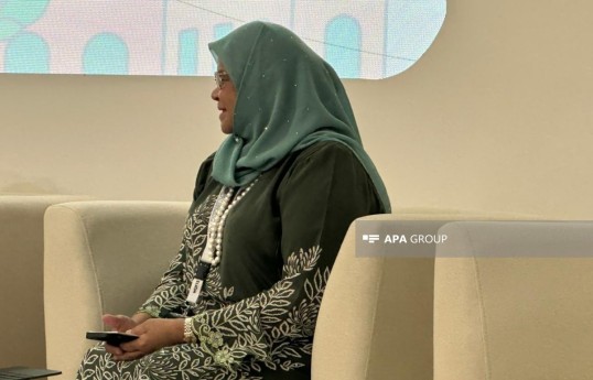 Maimunah Mohd Sharif, former Executive Director of the United Nations Human Settlements Programme (UN-Habitat)
