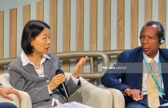 Jinming Huang, Director for Water and Urban Development at the Asian Development Bank