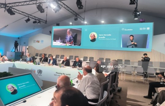 Expert: Planning for sustainable cities must be multidimensional