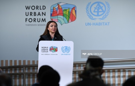 Aygun Aliyeva, Chairperson of the Board of the Agency for State Support to NGOs and member of the WUF13 Organizing Committee