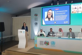 UNITAC head: We support countries and cities in developing smart city strategies