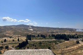 Distinguished Visitors Day held at “EFES-2026” exercise - PHOTO 