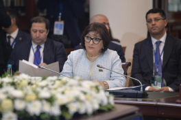 Speaker of Azerbaijani Parliament addresses meeting of IPA CIS Council