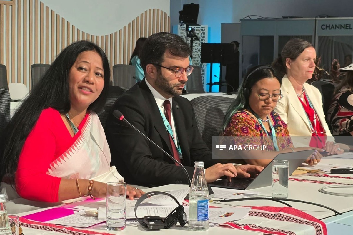 Nizami Ganjavi’s philosophy remains relevant today, says IUCN representative