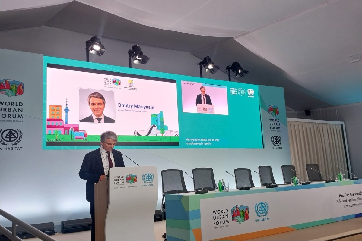 Dmitry Mariyasin, Deputy Executive Secretary of the United Nations Economic Commission for Europe (UNECE)