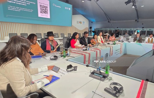 Indigenous peoples’ housing rights discussed at WUF13