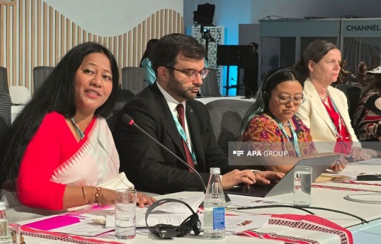 Nizami Ganjavi’s philosophy remains relevant today, says IUCN representative
