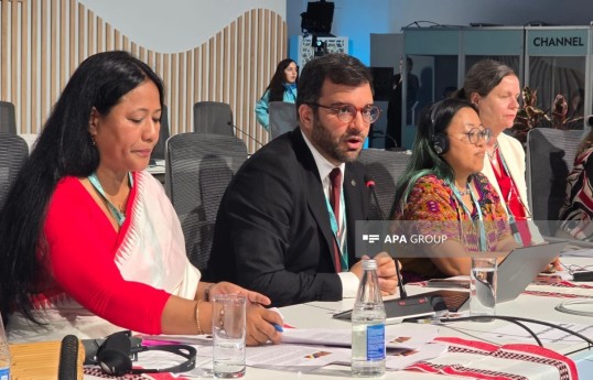 UN-Habitat official: Forced land dispossession is one of the main problems faced by indigenous peoples